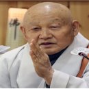 수진번역