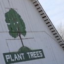 나무를 심는 사람들 이미지