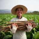 김동우농장 이미지