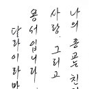 542. 사성제 이미지