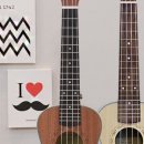 즐겁게 배우는 우쿨렐레 이미지