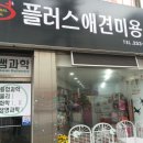 플러스애견미용실 이미지