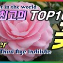 세계에서 가장 아름답고 희귀한 꽃 TOP10 이미지