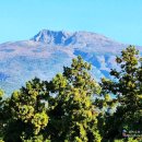 한라산농장 이미지