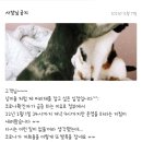 전주가 신월점 이미지