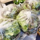 하이노가리 이미지