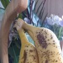 (주)우리동네 이미지