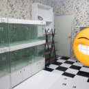 힐링펫샵 이미지