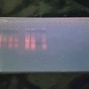 인천청호중학교 이미지