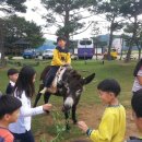 강구초등학교병설유치원 이미지