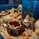 땅끝해양 자연사박물관 이미지