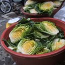 날씨누리 예보입니다 ❤️ 이미지