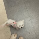 훈이세차장 이미지