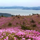 치산주유소 이미지