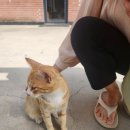 광주에 위치한 힐링 카페, 반헤이브 커피숍 방문 후기
