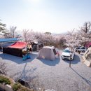 안성비봉산 캠핑장 이미지