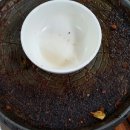 땅재 농장 이미지