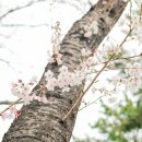 영도제일중학교 이미지