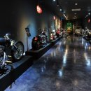 그곳에 비엘로 이미지