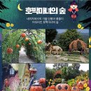 금화파크 이미지