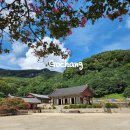 고서농업협동조합 | 고창/담양 여행기 - 1일차