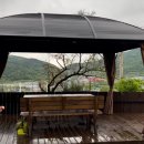 코코마루 이미지