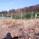 진영4호 이미지