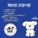 한결강아지미용실 이미지