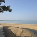 솔향기가득한집 | 🌲 궁평 해송군락지 여행기 - 바다와 솔향기 가득한 힐링 여행