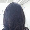 투디아 이미지