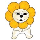 로이통신4
