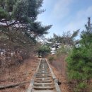 서울동동주 이미지