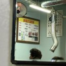 초량돼지갈비 | 부산 초량 노포 맛집 88돼지갈비 아쉬운 후기