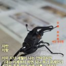 하늘가장례식장 이미지