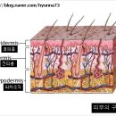 스포츠맛사지 이미지