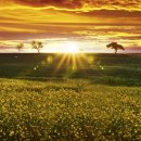 하원농장 이미지