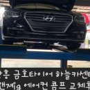 설카센타 이미지