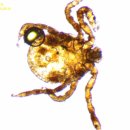 첨단사랑동물병원 이미지