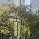 과천위버필드단지내 공인중개사사무소 | [4월 셋째 주] 과천 부동산 분위기 반전. 바닥 확인 완료.