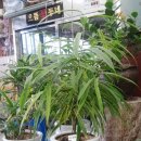 북유성대로(유성-28) 이미지