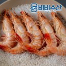 블랙타이거