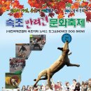 설악문화제 반려견 문화축제 이미지