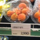 일상쇼핑샵
