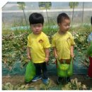 효동농장 이미지