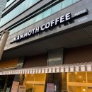 매머드익스프레스서울숲아이코닉점