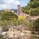 북상면횟집 이미지