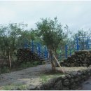 엠투어스크린골프 이미지