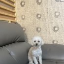 미래농약사 | [세종/조치원 사주] 연화한도령 후기