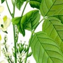 에너지샵 이미지