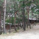 사평자연휴양림 네이버블로그